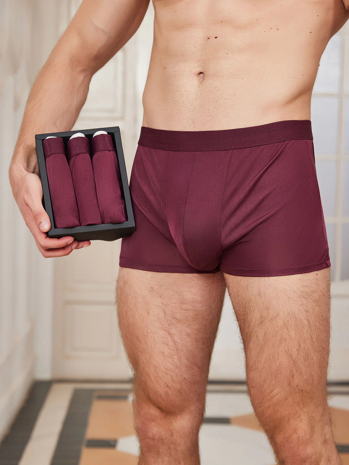 3 Piezas De Ropa Interior Tipo Bóxer De Seda Pura Para Hombre - Image 10