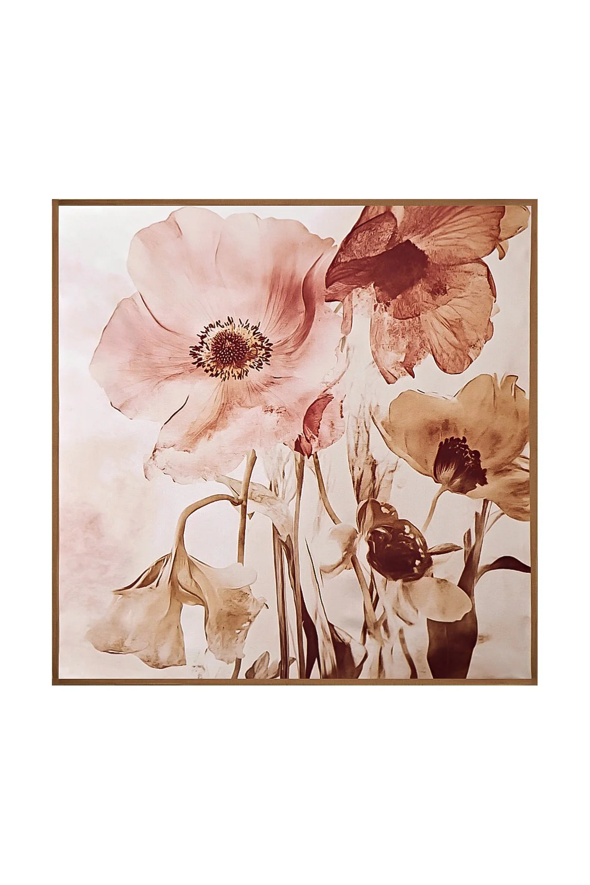 Pure Silk Bufanda Cuadrada Floral con Borde Dorado 53*53 cm